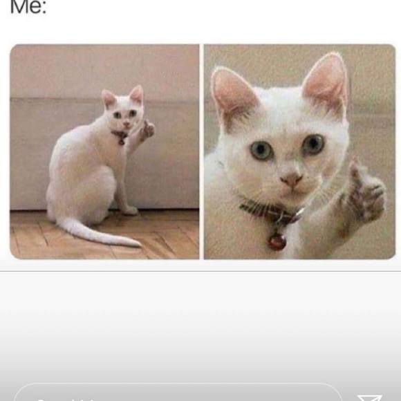 michiee777